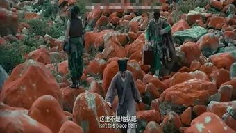 《许餐厅》：一场关于美食与人生的温情盛宴