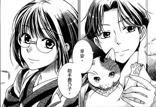 野良猫洛克：女番长——这部70年代经典暴走族电
