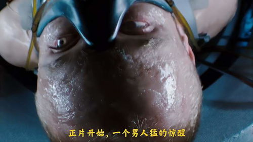 《野性侵袭》：当人性与兽性在末日边缘交锋