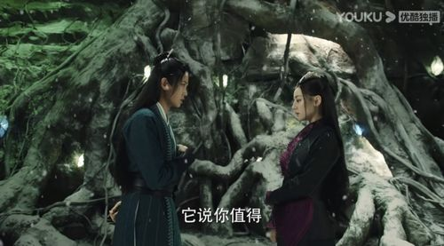 都市丛林中的生死博弈