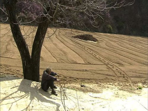 《遗世避难所》：末日废墟中的人性之光还是生