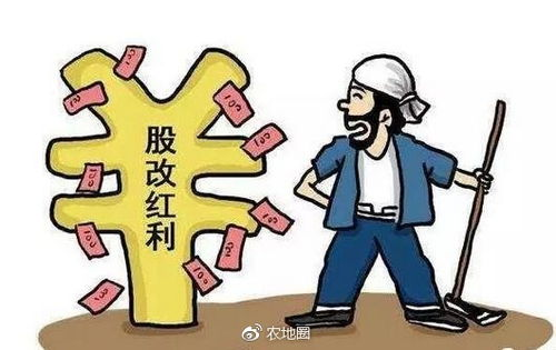 《遗弃之地》：一场关于人性与救赎的黑暗寓言
