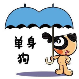 《遭遇陌生人》：伍迪·艾伦的黑色幽默与人性探