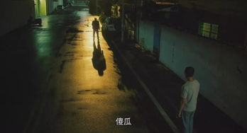 《那个不为人知的故事》：一段被遗忘的深情与