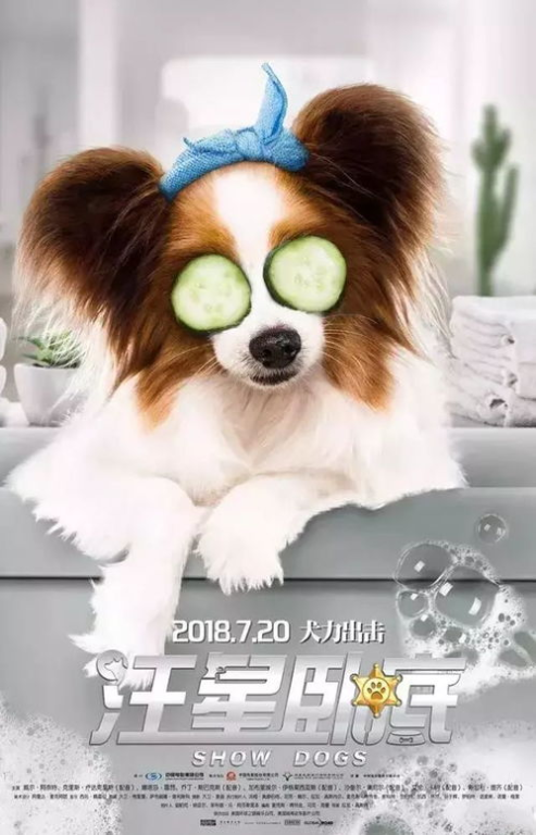 《汪汪队立大功 第五季》：萌犬英雄再出击，拯