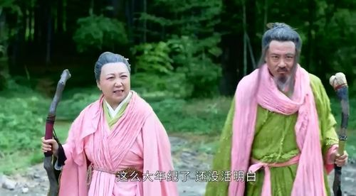《萍踪侠影潘粤明版》：侠义江湖的现代演绎