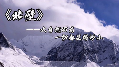 一部震撼心灵的生存冒险电影