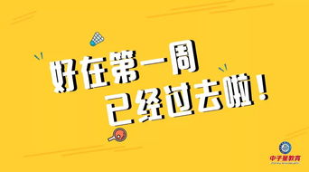 《幸福双宝养成记》：新手爸妈的崩溃与治愈，