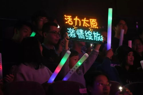 《巅峰歌神》：音乐与梦想的终极对决，谁才是