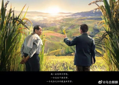 《山沟沟里飞出个金凤凰》：这部农村题材电影