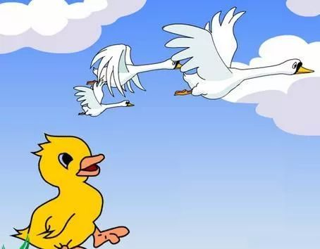 《超大号美人》：胖女孩的逆袭，还是社会审美的妥协？