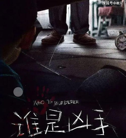 《谜误》：一场关于真相与谎言的致命游戏