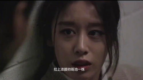 《查老铁大战丧尸街友》：这部荒诞喜剧为何让观众又哭又笑？