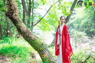 《山海未相逢》：当东方奇幻遇上现代爱情，这部国产片为何让