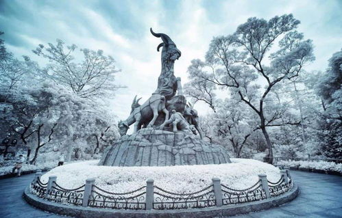 《少年时代》：12年拍摄的成长史诗，为何让观众集体破防？
