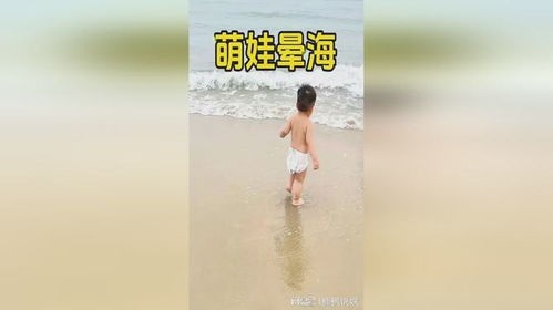 《小七之萌娃闹海》：一部治愈系亲子动画的奇幻冒险