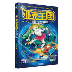 迷雾中的盗版王国