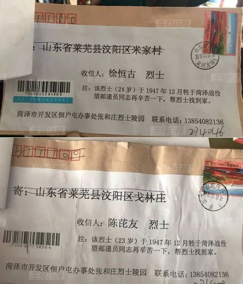 一封无法投递的信件开启的亲情叙事