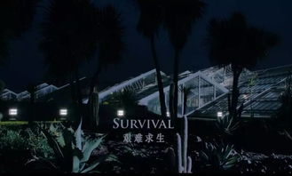 当科技狂潮碰撞诗意光影