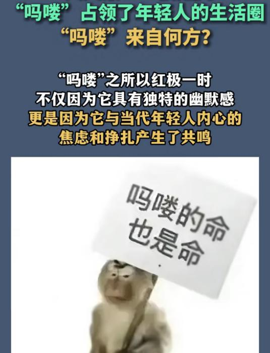 【当预感成为催命符】最令人脊背发凉的生存教科书