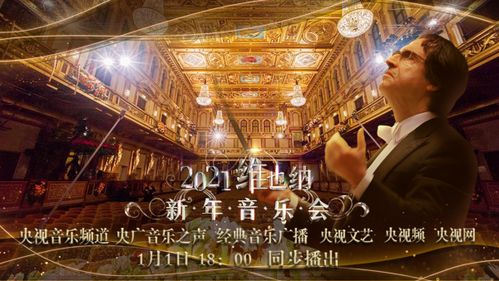 网络漩涡中的视听盛宴