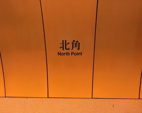 胶片泛黄的年代密码