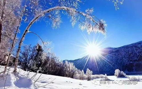 长白山风雪埋藏的秘密，等待十年终于揭晓
