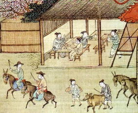 明朝秘宝下的视听盛宴