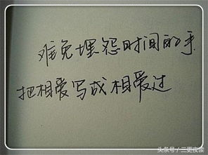阳光电影网迅雷下载,阳光电影1080p 下载
