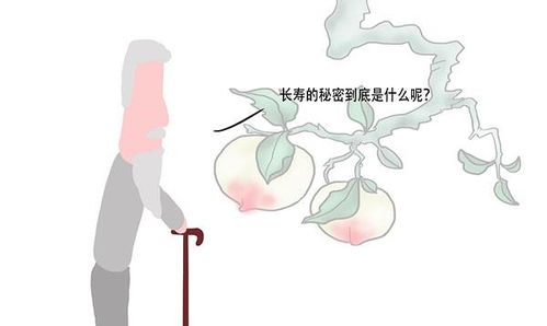▌被千万人催更的年度黑马终于来了