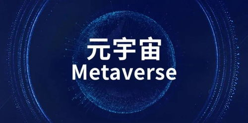 元宇宙里的真实菌丝——2022最烧脑独立电影