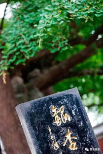 当8K超清镜头撞碎千年寓言