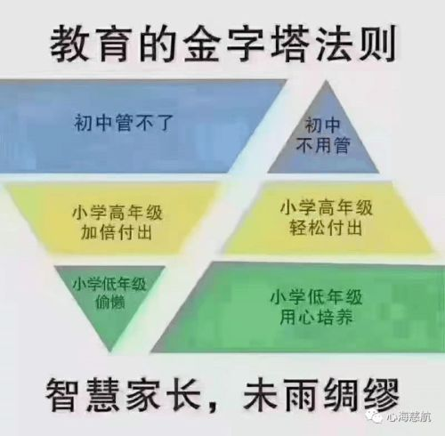 虚拟职场剧《金字塔法则》引爆职场圈层