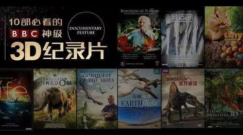 最好看的高清电影在线观看影视,好看的电影 在线观看