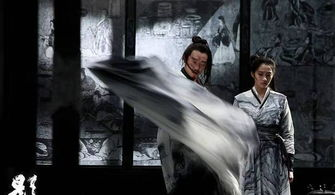 武侠美学新高度：张艺谋的镜头魔法