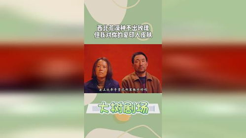 当西北荒漠种出玫瑰花