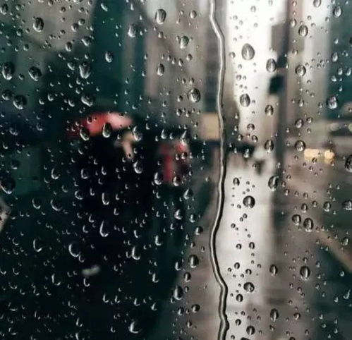 热带雨电影在线观看完整高清,热带雨电影免费播放