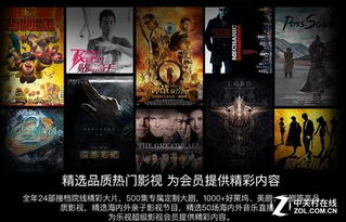 影视资源宝库还是法外之地？