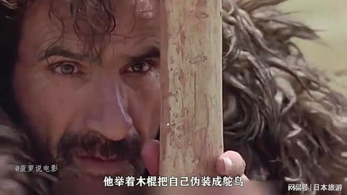 冷门高分片的隐秘光芒