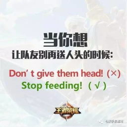 免费观看电影电视剧的在线观看剧集