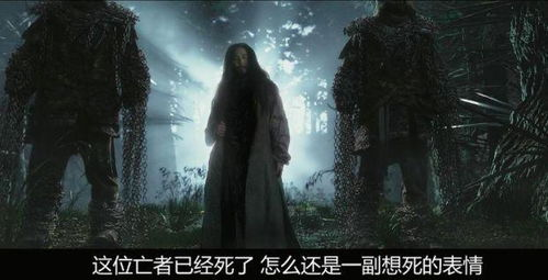 哪里可以看免费的电视电影,哪里可以看免费的电视剧电影