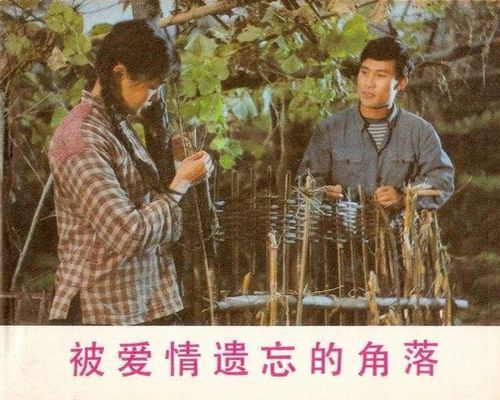 追剧党的幸福密码