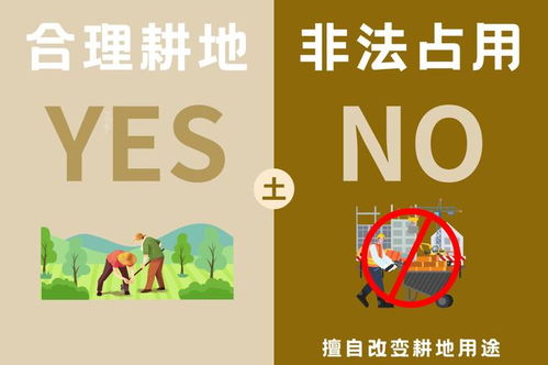 哪里可以看免费的电视剧和电影,哪里能看到免费的电视剧