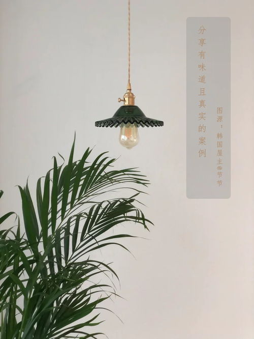 【流媒体新时代的秘密花园】