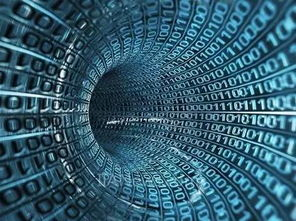 为什么《行情网站》成为2023年最受争议的金融纪录片？