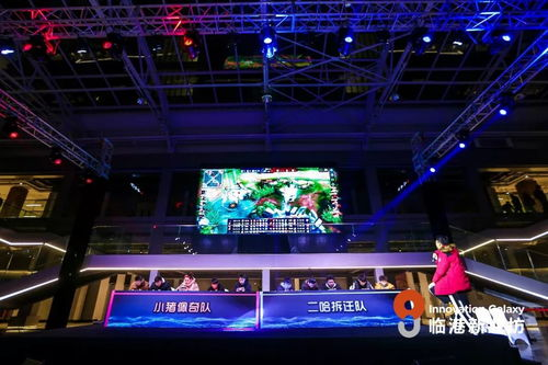 四川卫视2024花开天下国韵新年演唱会：一场视听盛宴的国风狂欢