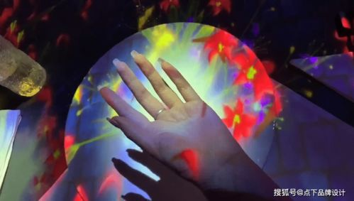 《美食侦探》：当美食遇上悬疑，谁能抵挡这场味蕾与智力的双
