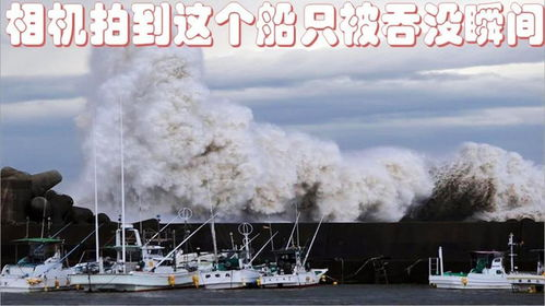 《海上拖救大队》：英雄还是疯子？这部国产灾难片凭什么让人