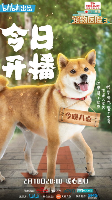 《动物急症室 第二季》：萌宠医生们的日常有多刺激？