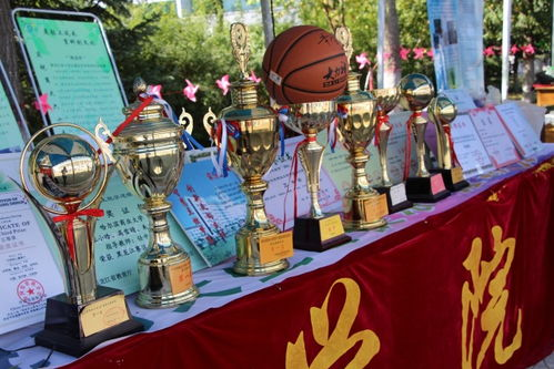 2024辽宁卫视春节联欢晚会：笑声与乡愁交织的东